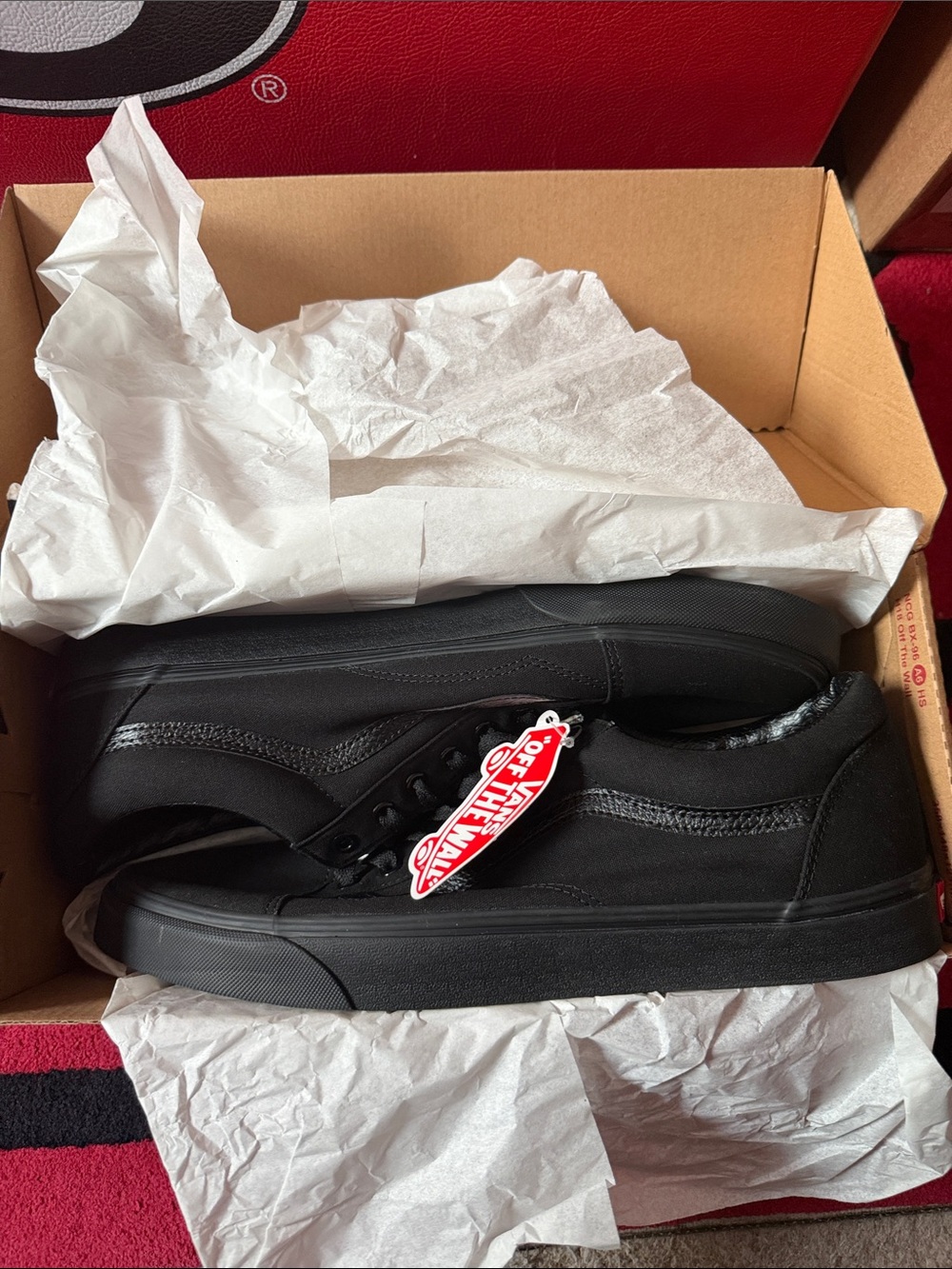 Vans Black Low-Top Classic Canvas Sneakers